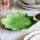Vine slip plate