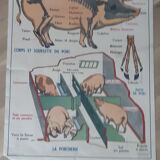 School poster pig and cat
