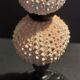 Cabinet of Curiosities sea urchins paracentrotus lividus on pedestal