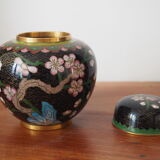 Ginger pot