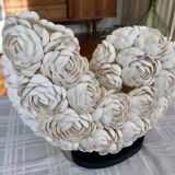 Shell lamp