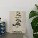 Botanical poster Marrubium Vulgare