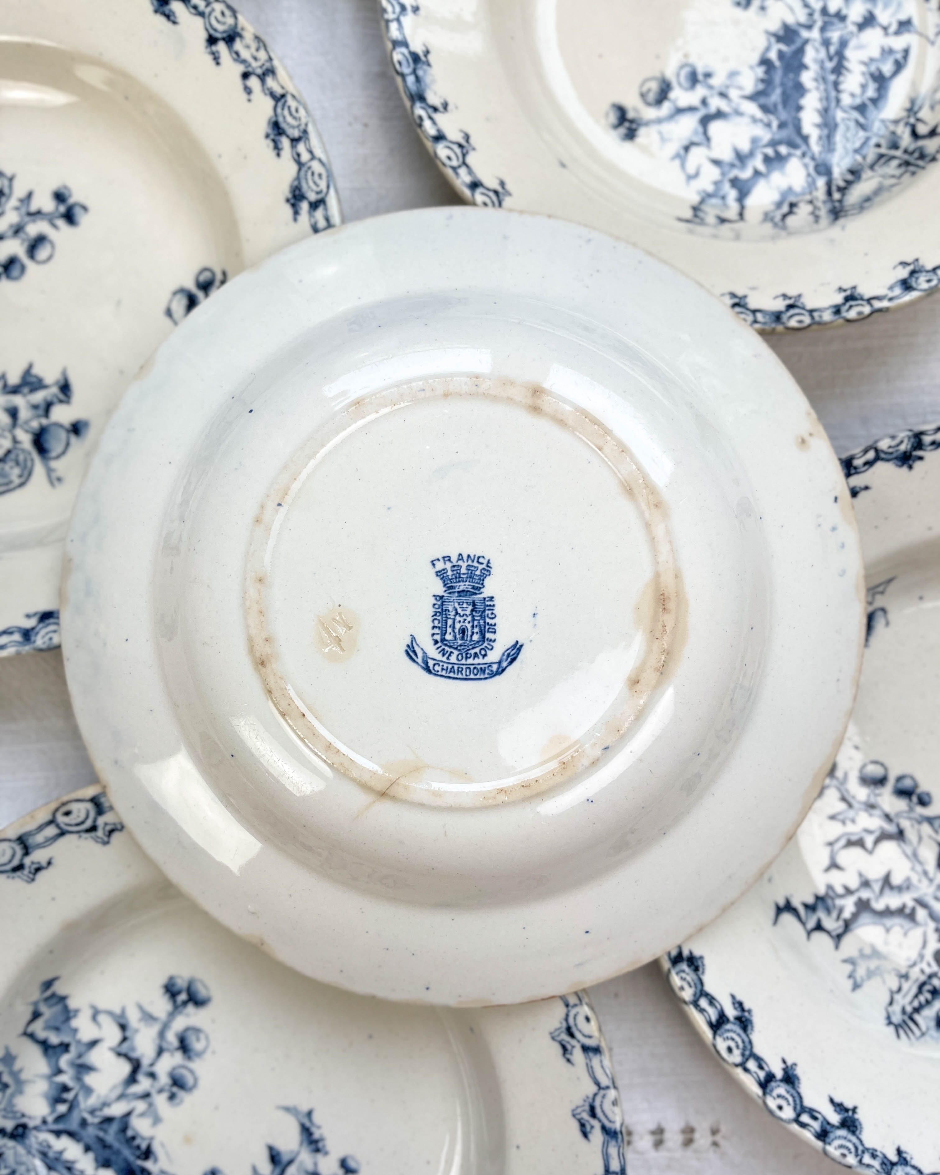 5 assiettes creuses terre de fer gien modèle chardons made in france