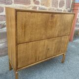 Scandinavian secretary