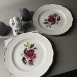 Duo of plates "gien chambord"