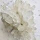Quartz blanc