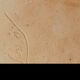 Wall vase in ceramic signed Liévois – piece of French craftsmanship