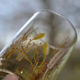 8 amber glasses from the 70s-80s.