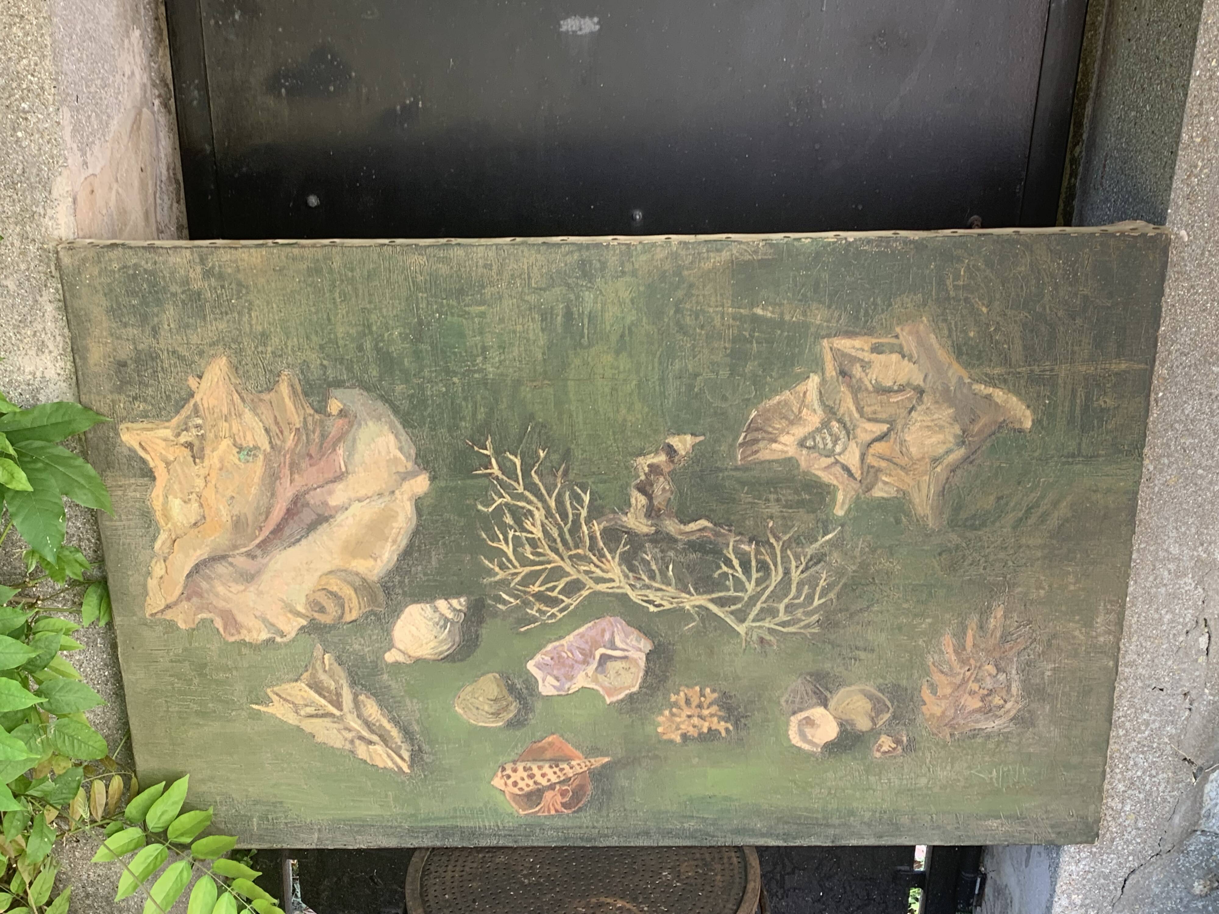Large painting of shells, cabinet of curiosities, sign, vintage