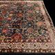 Janus lily stitch rug 340x245 cm