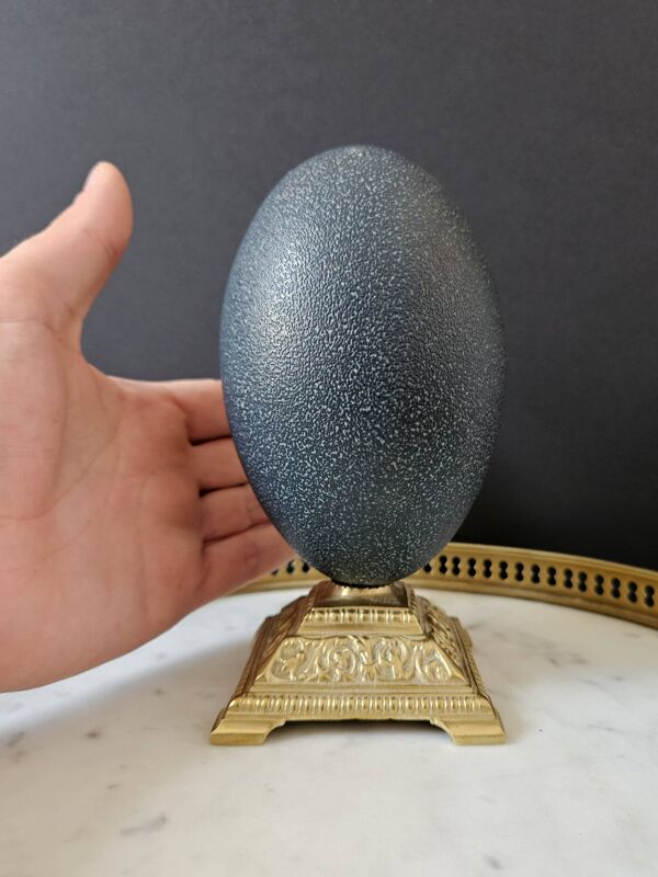 Oeuf d'Émeu, Socle Laiton (Début XXè) H : 16 cm   Objet de Curiosité
