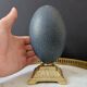 Emu Egg, Brass Base (Early 20th Century) H: 16 cm | Curiosity Item
