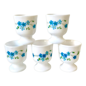 Forget-me-not flowering eggcups Veronica Arcopal