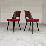 Pair of 515 -2 chairs by Oswald Haerdtl for Ton (Thonet) 1950