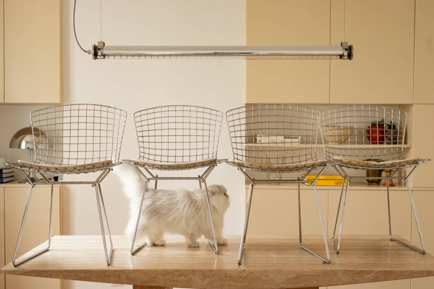 Chaise Bertoia knoll
