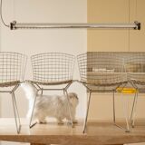 Chaise Bertoia knoll