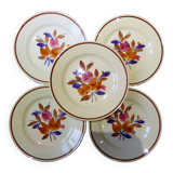 5 flat plates 2010146
