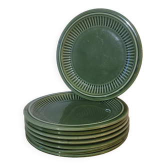 Set of 8 flat plates S Portugal Green