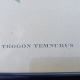 12 Lithographs “Birds of the World”