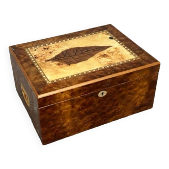 Cigar humidor