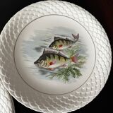 fish plates Gien