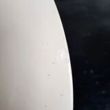 Set of Five Antique French Ceramic Plates with Birds and Flowers - Longwy - late XIX century