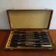 12 couteaux entremets  vintage Pradel manches corne en écrin