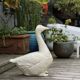 Ceramic goose