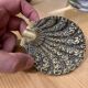 Vintage Seashell Design Brass Ashtray