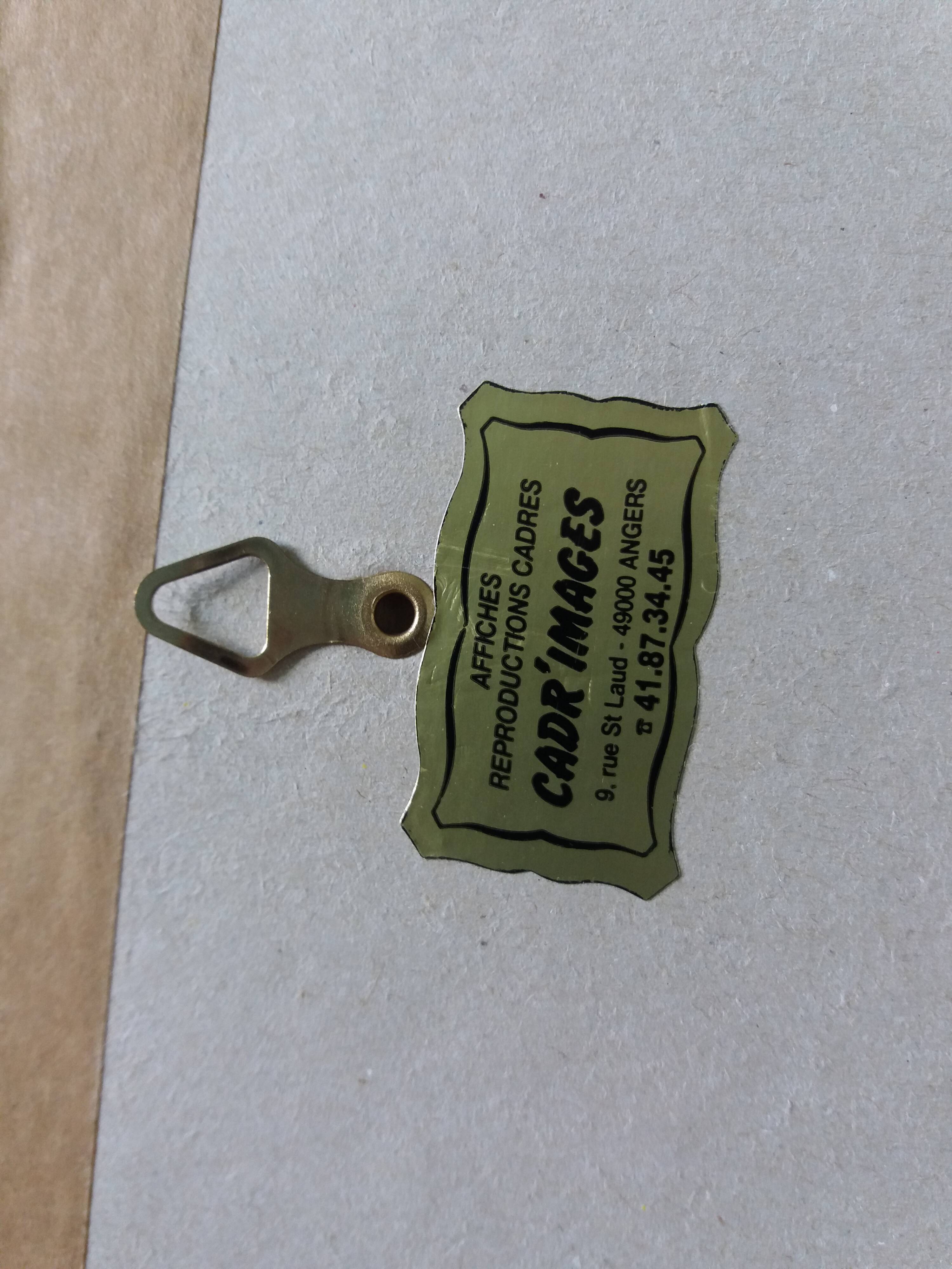 Framed botanical plate, flower illustration by Pierre Joseph Redouté