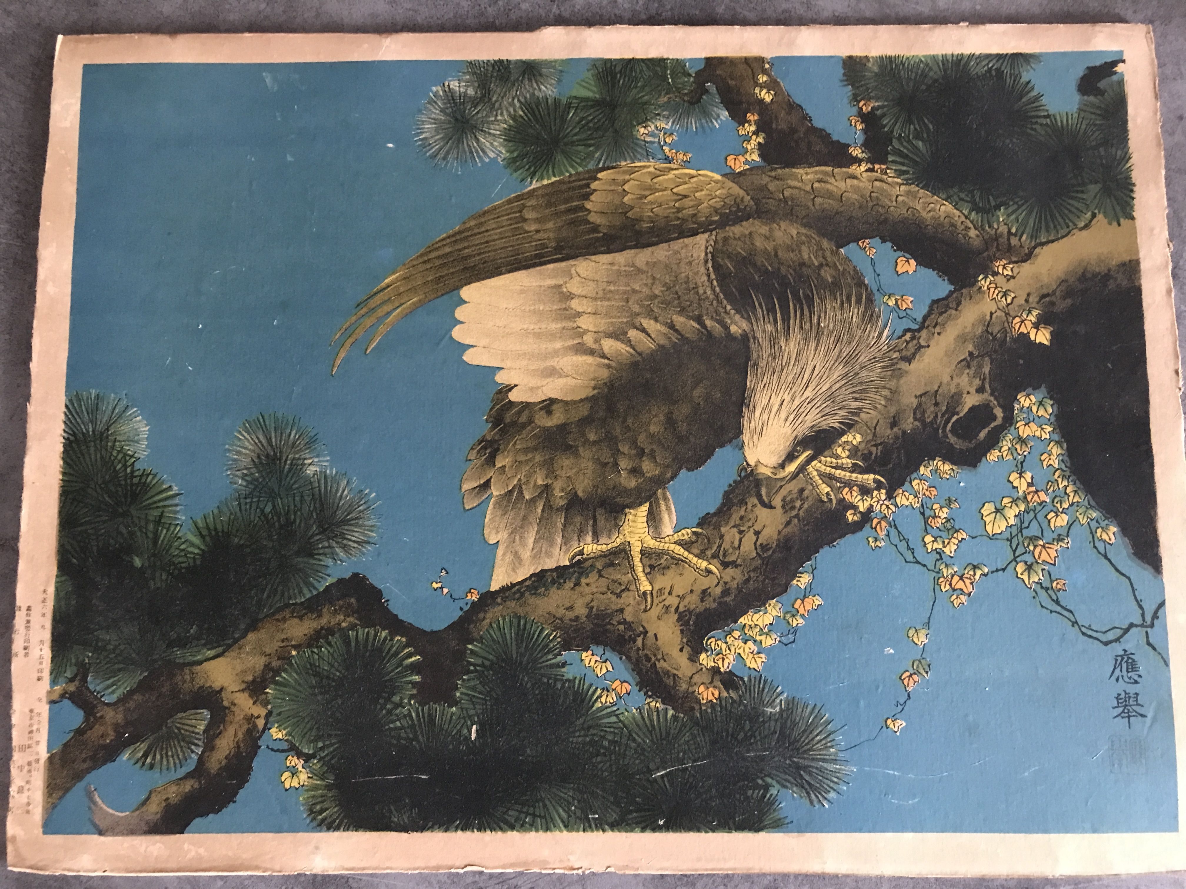 Old estampe of asia with polychrome decoration of eagle on a branch xixth