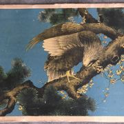 Ancienne estampe d’asie à décor polychrome d’aigle sur une branche xixème