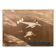 Vintage 20thC Large Photograph Of A Boac Constellation Speedbird c.1950