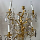 Pair of lamps in gilded bronze and crystal