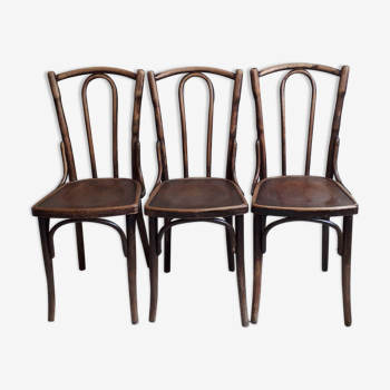 Set de 3 chaises Thonet 1900 Mazowia Noworadomsk