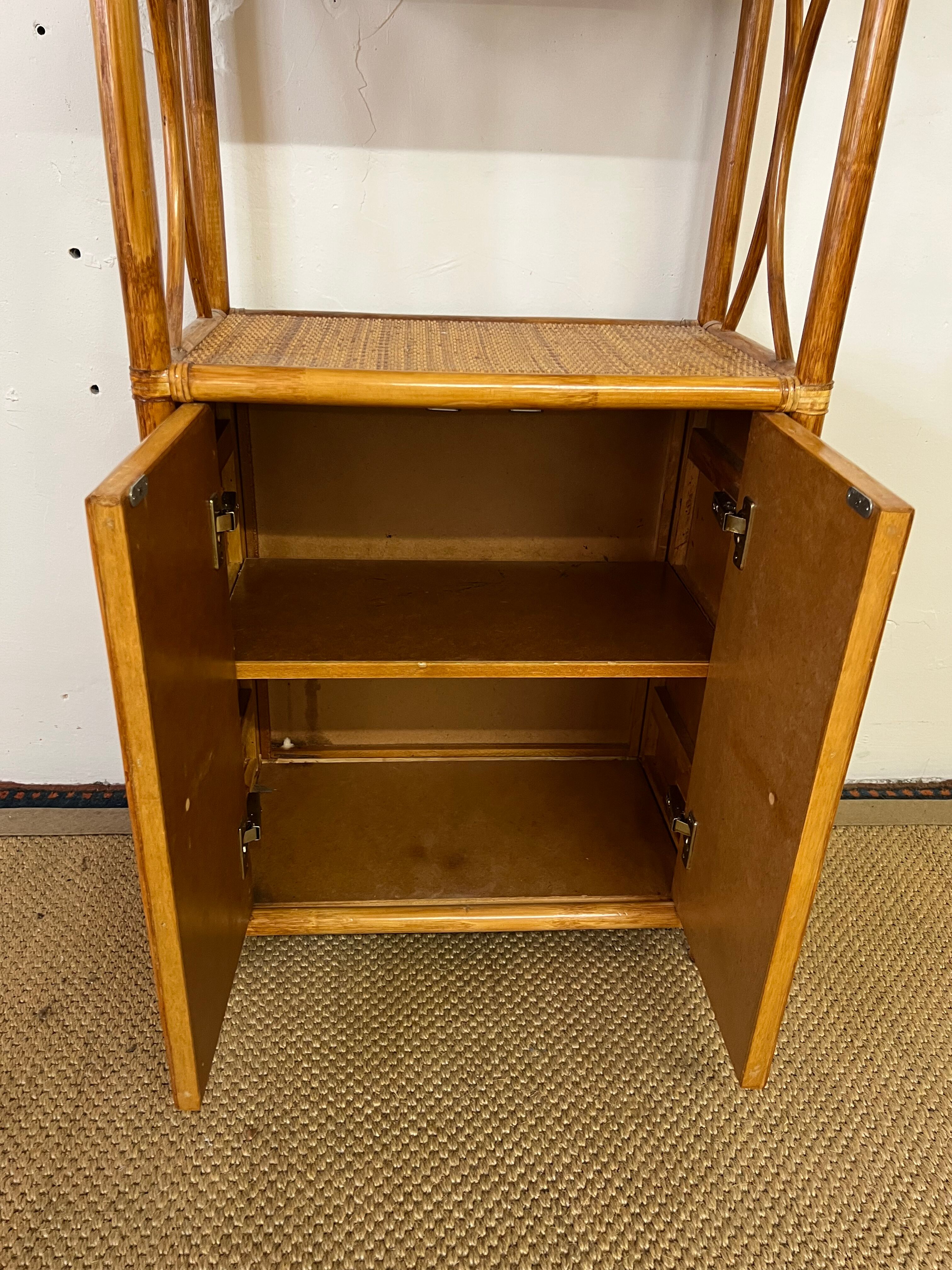 Rattan shelf 2 doors