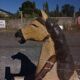 Antique rocking horse