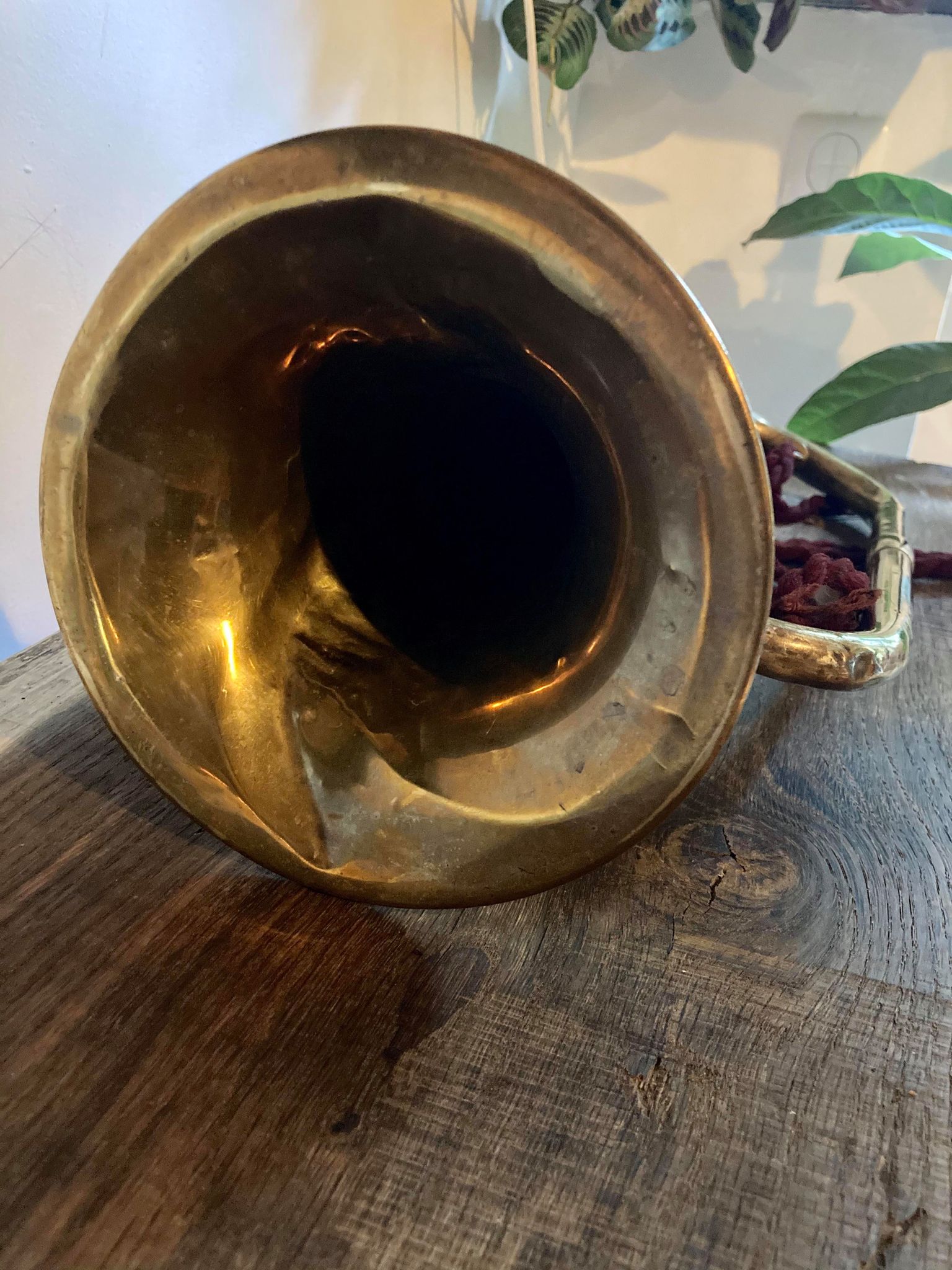 Clairon Pelisson Gaillard - Loiselet