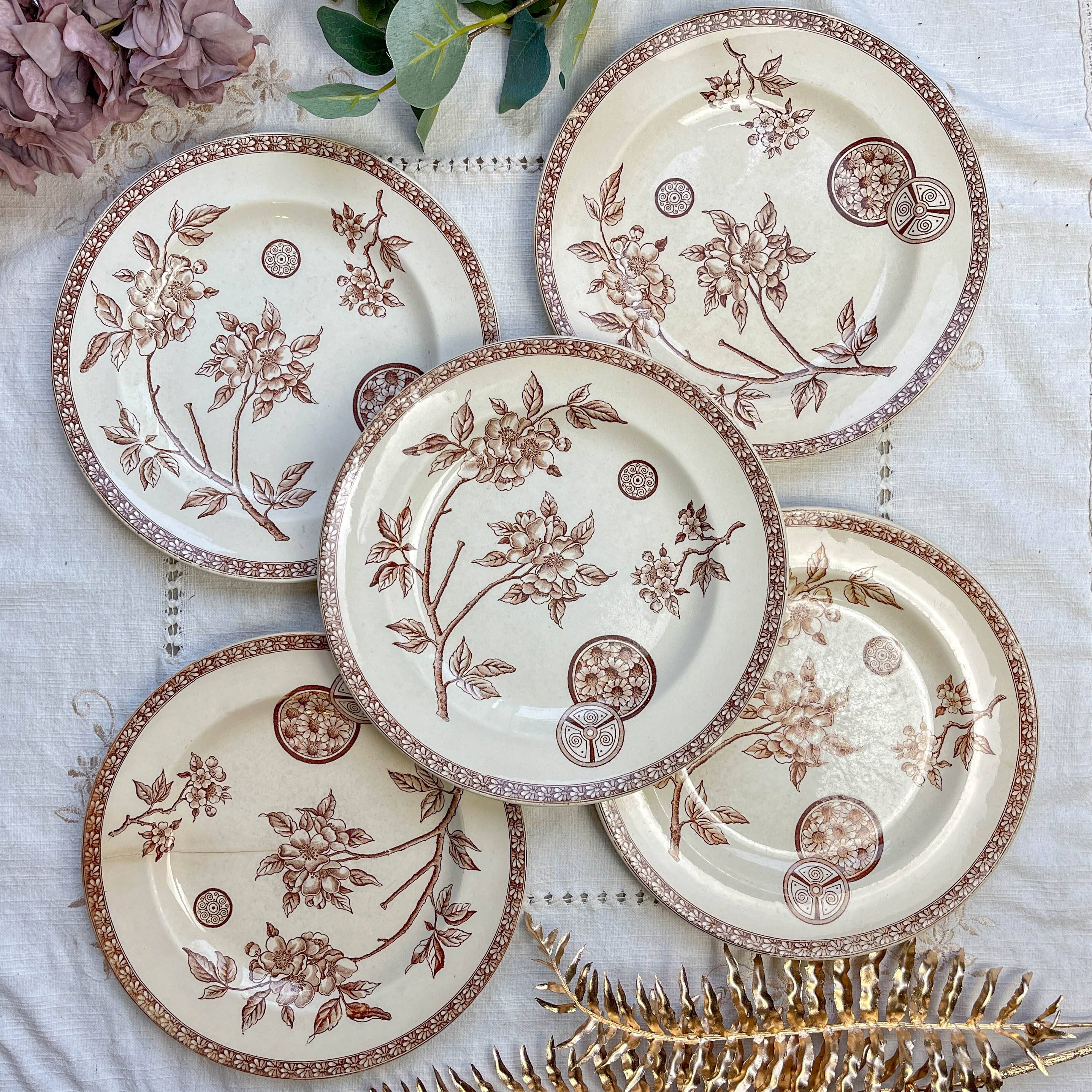 5 large old plates in brown ironstone - Grand Dépôt Paris