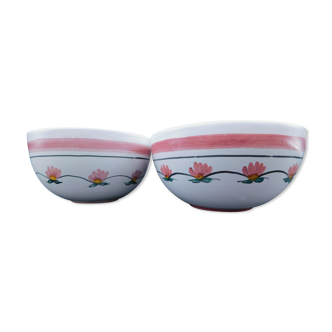 Duo of ceramic bowls, water lily decoration, Najac
