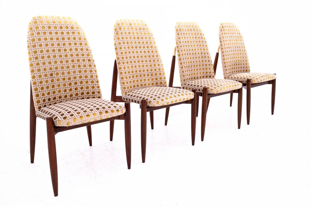 Set of 4 chairs, Czechoslovakia, 1950s. After renovation