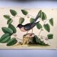 Old bird engraving - Robin - Vintage nature plate by Seligmann