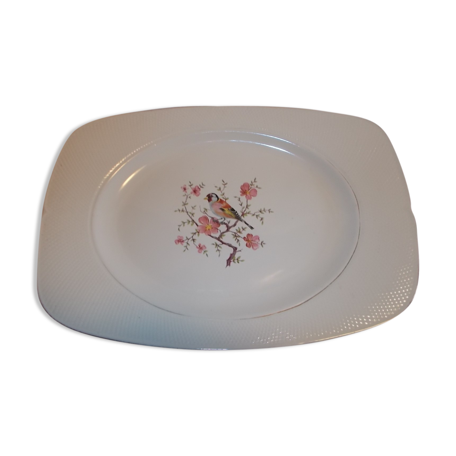 Rectangular plate Salins France