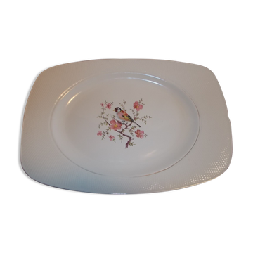 Plat rectangle Salins France