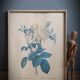 Frame illustration rose one hundred leaves foliaceous