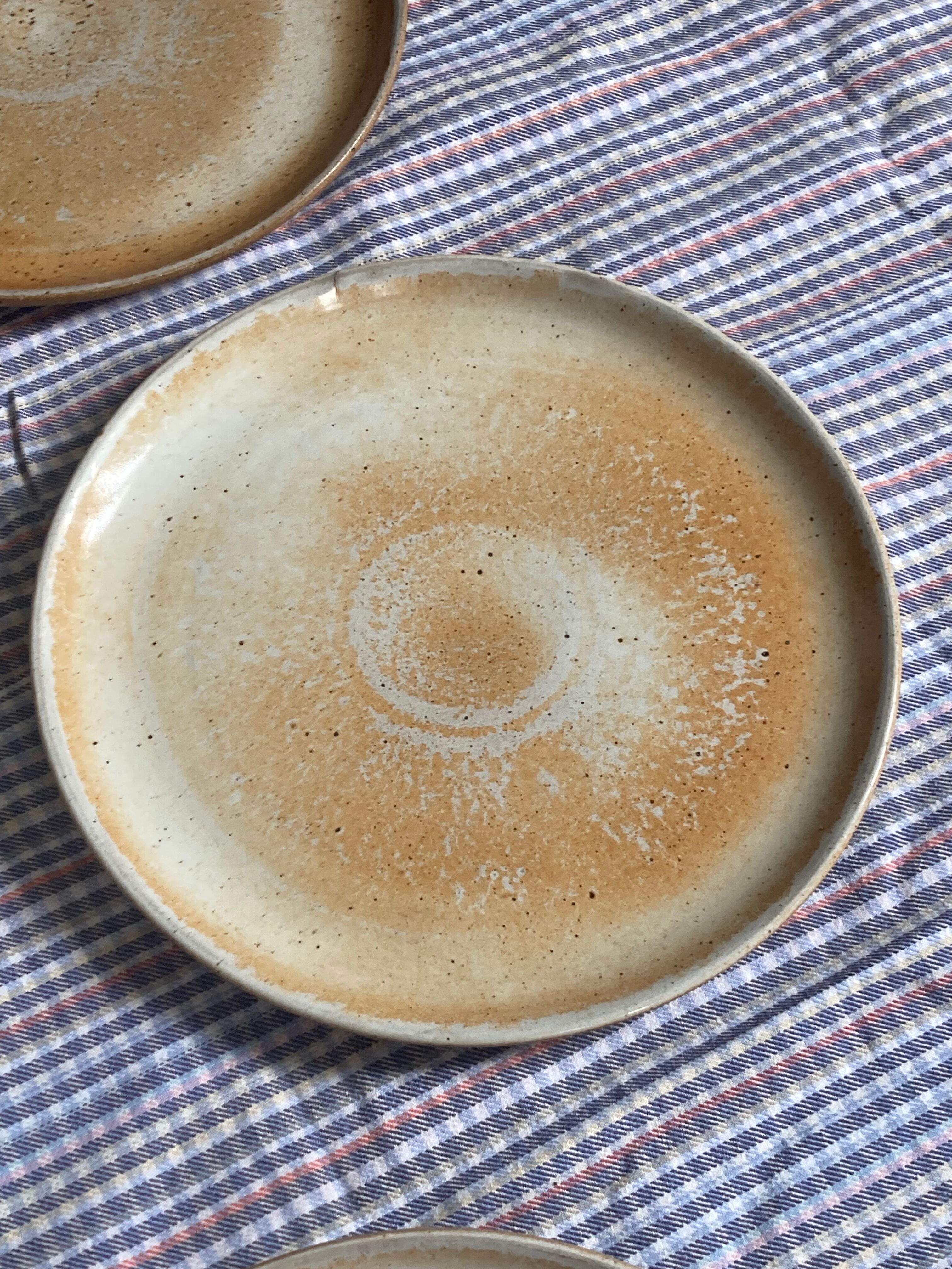 Flat plates in marshes stoneware paris