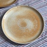 Flat plates in marshes stoneware paris