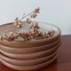 Set of 5 stoneware dessert plates