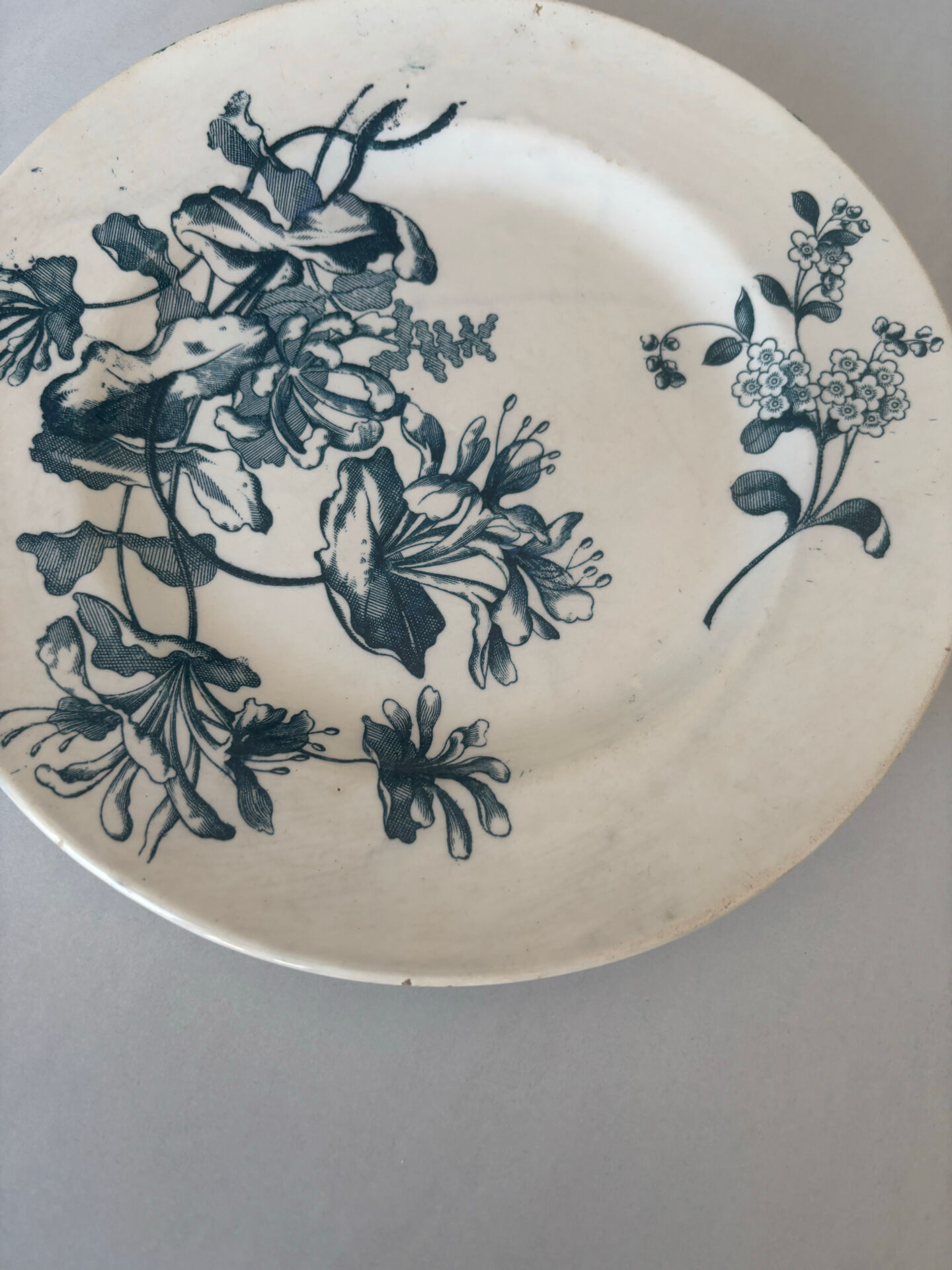 Flat plate, ironstone, Sarreguemines, blue flower - antique earthenware.
