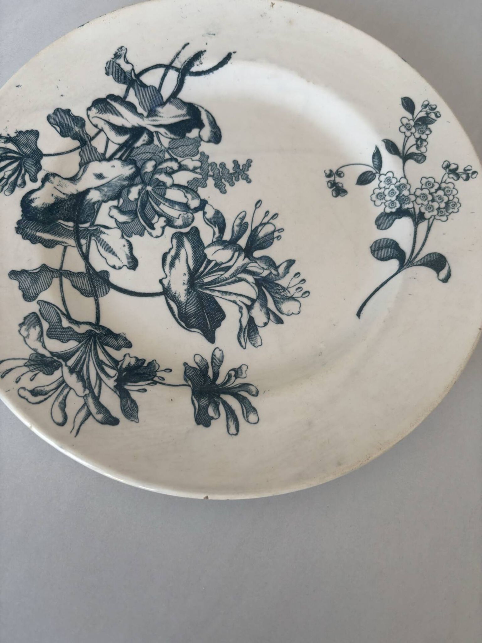 Assiette plate terre de fer sarreguemines fleur bleu- faïence ancienne